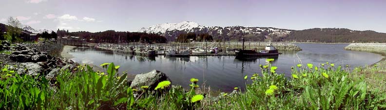 Seldovia Harbor